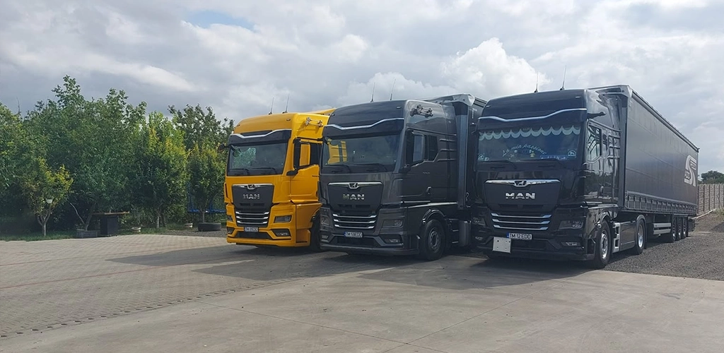 O mica parte din flota de transport international
