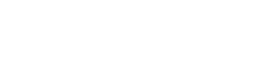 Logo-ul companiei ADD SPEED
